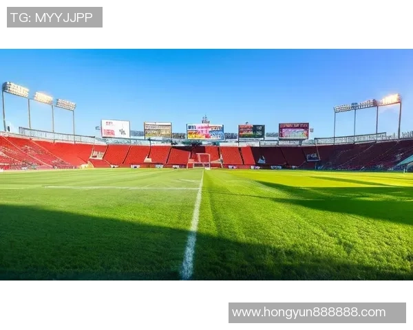 深度对话周丽：从绿茵场到人生舞台的足球旅程与梦想探索